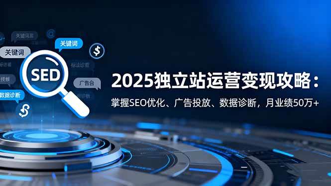 (16371期)2025独立站运营变现攻略:掌握SEO优化、广告投放、数据诊断,月业绩50万+-网创资源大全