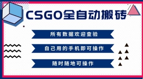 CSGO全自动搬砖,年底钱回家好项目,当天可拿到结果,新手小白轻松月入1W+【揭秘】-网创资源大全