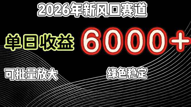 （17135期）2026年新风口赛道，当日6000+以上，可批量放大，月收入20万+，长期绿色稳定的项目-网创资源大全