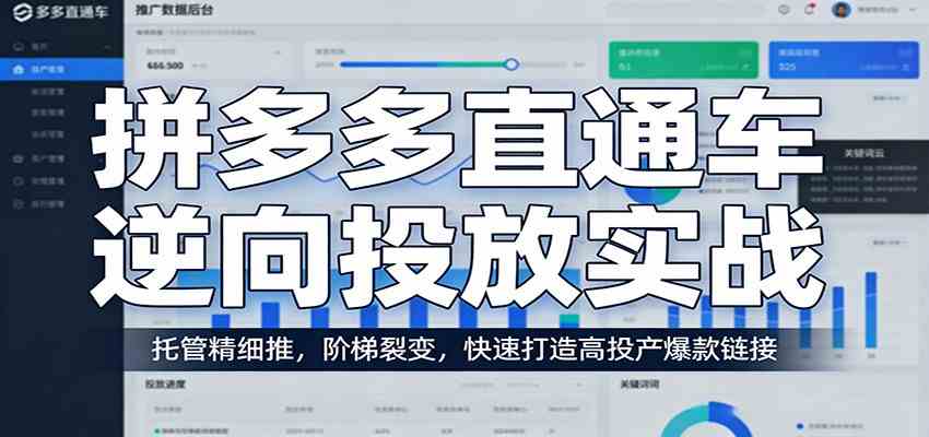 拼多多直通车逆向投放实战：托管精细推，阶梯裂变，快速打造高投产爆款链接-网创资源大全