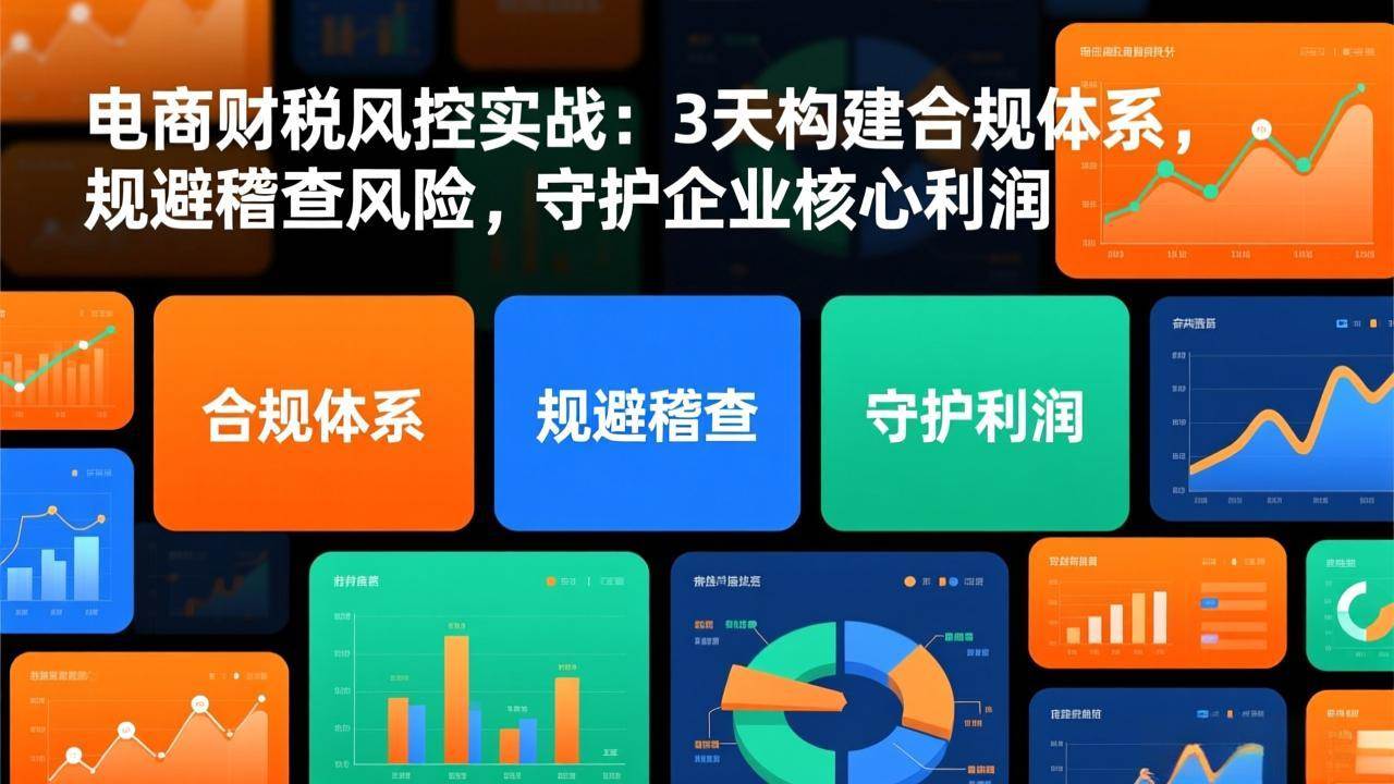 （17197期）电商财税风控实战：3天构建合规体系，规避稽查风险，守护企业核心利润-网创资源大全