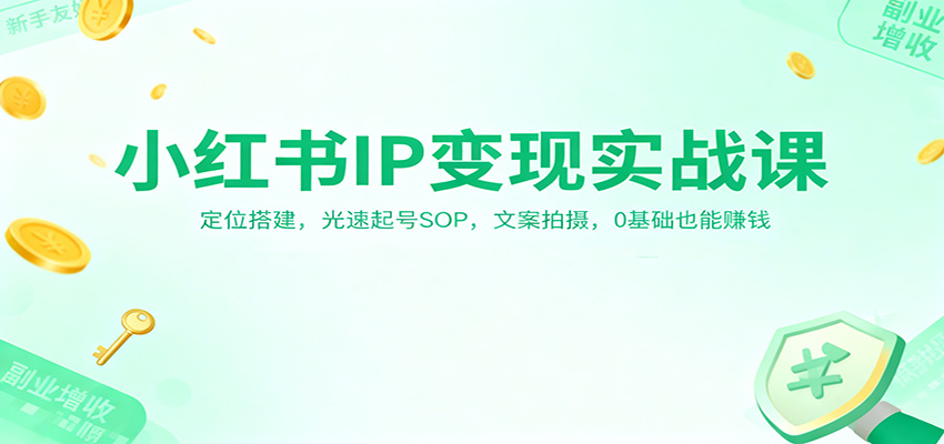 小红书IP变现实战课：定位搭建，光速起号SOP，文案拍摄，0基础也能赚钱-网创资源大全