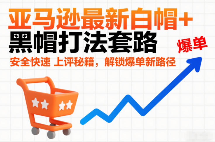 亚马逊最新白帽+黑帽打法套路，安全快速上评秘籍，解锁爆单新路径-网创资源大全