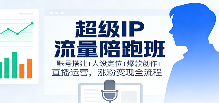 超级IP流量陪跑班：账号搭建+人设定位+爆款创作+直播运营，涨粉变现全流程-网创资源大全