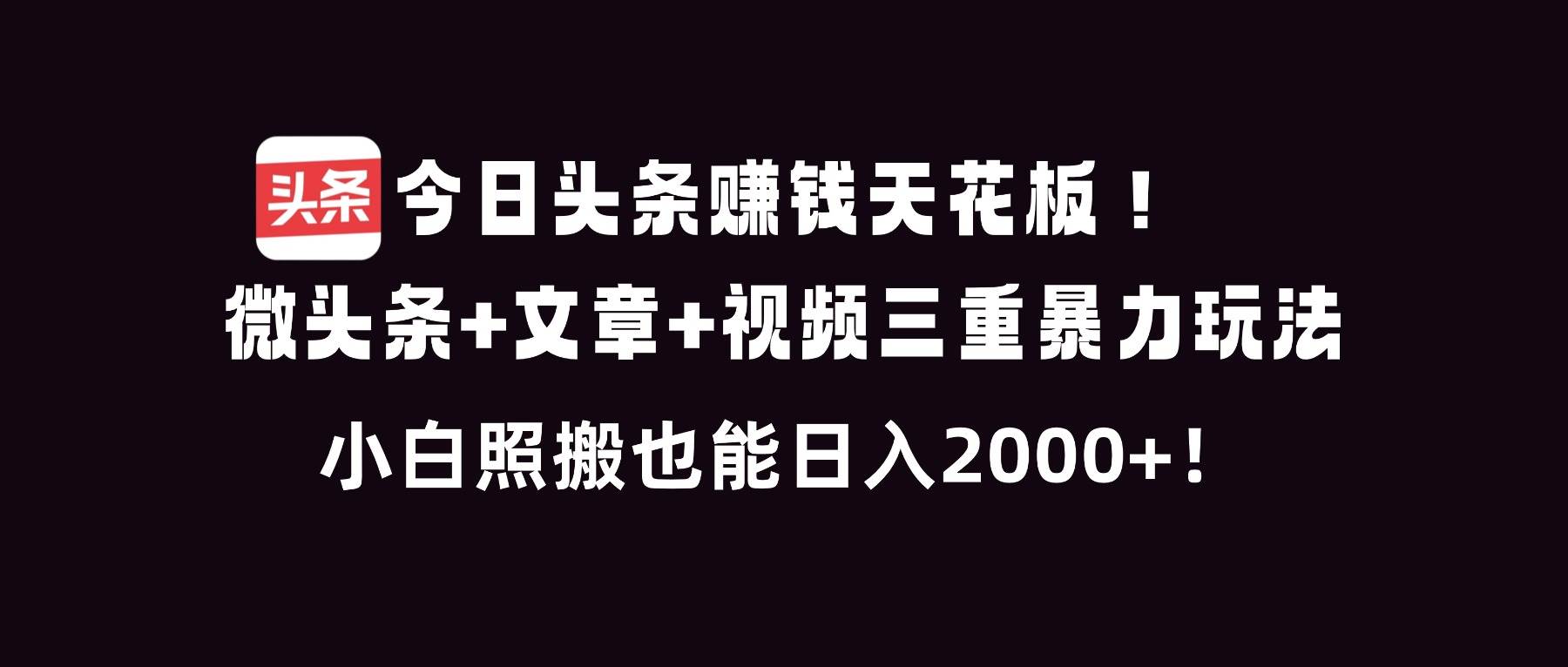 （16888期）今日头条赚钱天花板！微头条+文章+视频三重暴利玩法，小白照搬也能日人2000+-网创资源大全