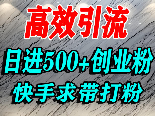 怎么打创业粉？快手求带视角精准引流创业粉，宝妈、学生群体日进500+精准流量-网创资源大全