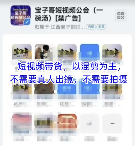 宝子哥头部团队短视频带货，以混剪为主，不需要真人出镜，不需要拍摄【更新26年1月】-网创资源大全