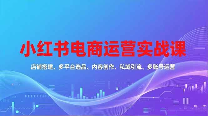 （16695期）小红书电商运营实战课，店铺搭建、多平台选品、内容创作、私域引流、多账号运营等玩法-网创资源大全